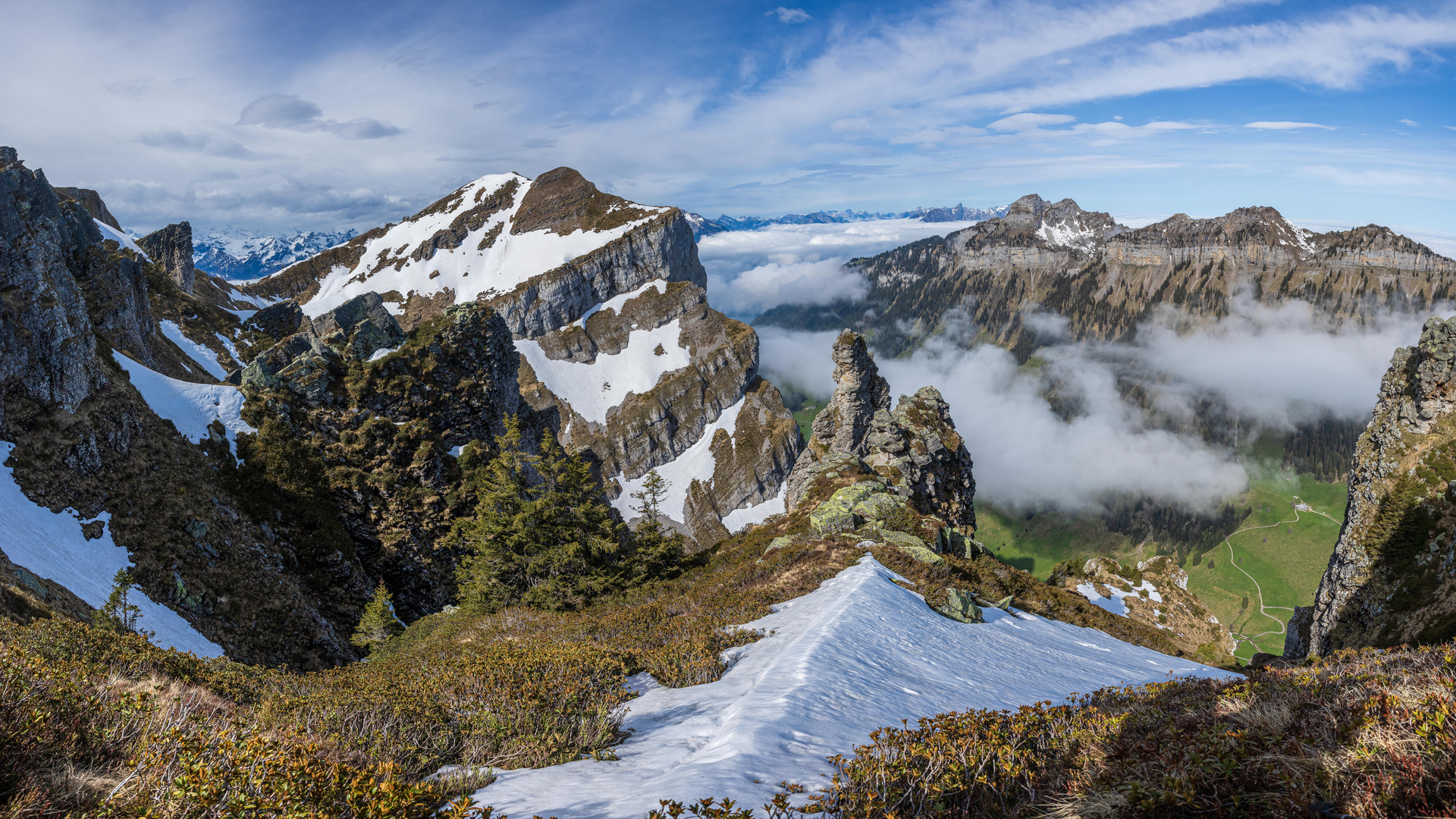 Alpensteinbock Land