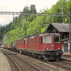 Alpentransitachse Lötschbergbahn