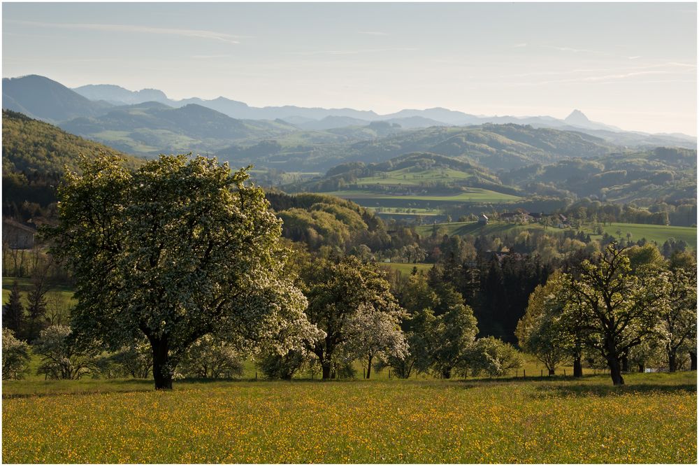 Alpenvorland # 2 Foto & Bild  natur, österreich, landschaft Bilder auf fotocommunity