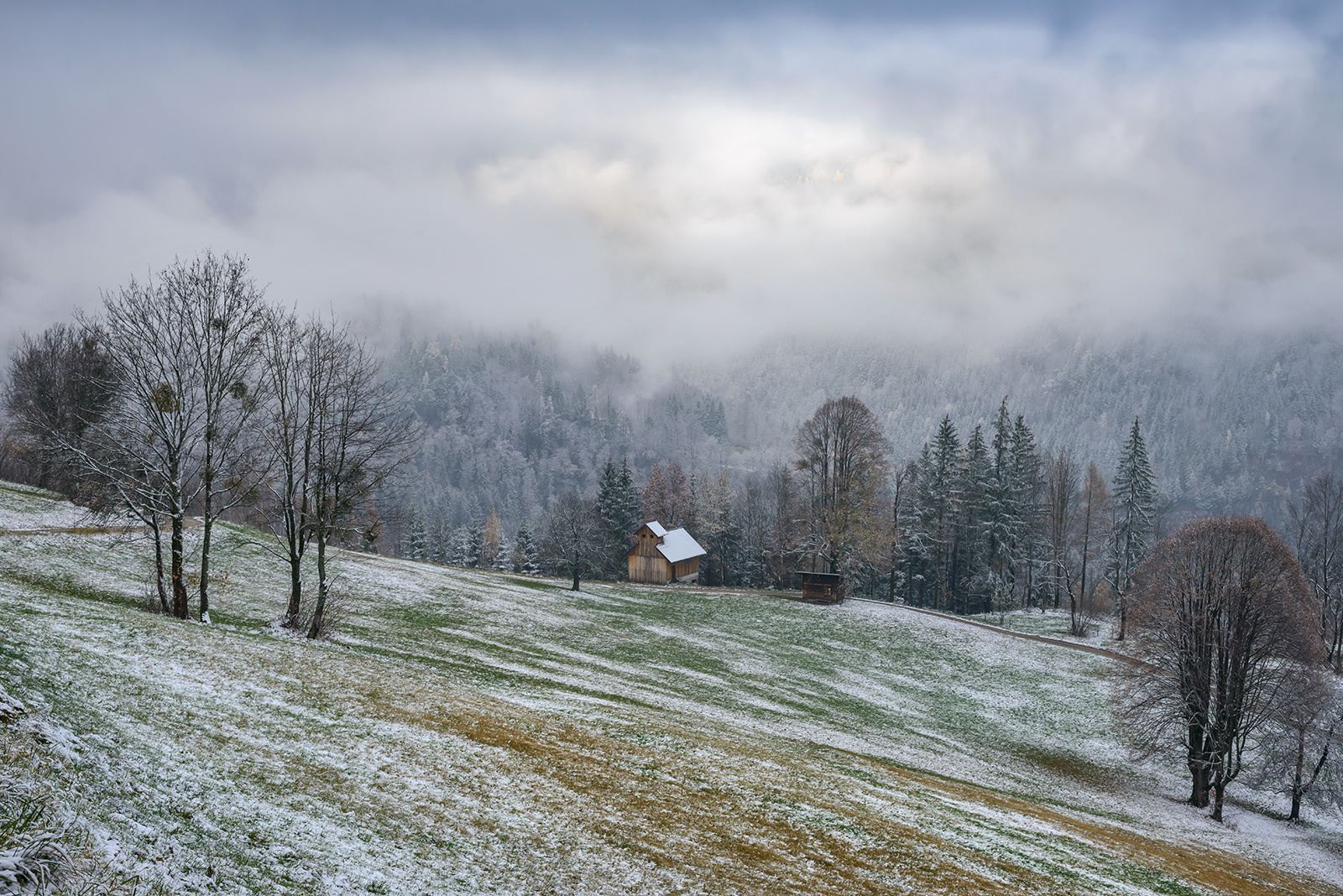 ALPENVORLAND