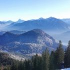 Alpenvorland an einem Dezembermorgen