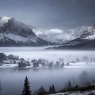 Alpenvorland im Nebel