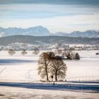 Alpenvorlnad im Winterkleid