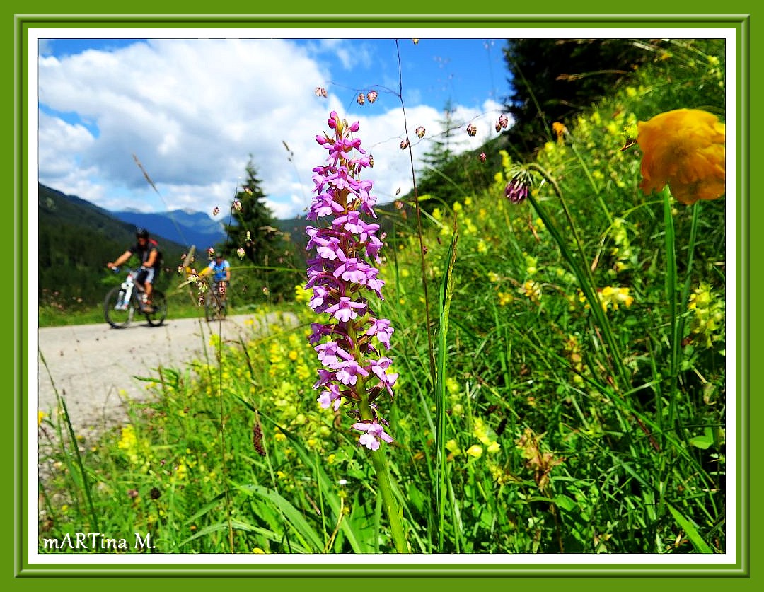 Alpenwanderung (mit Gedicht)