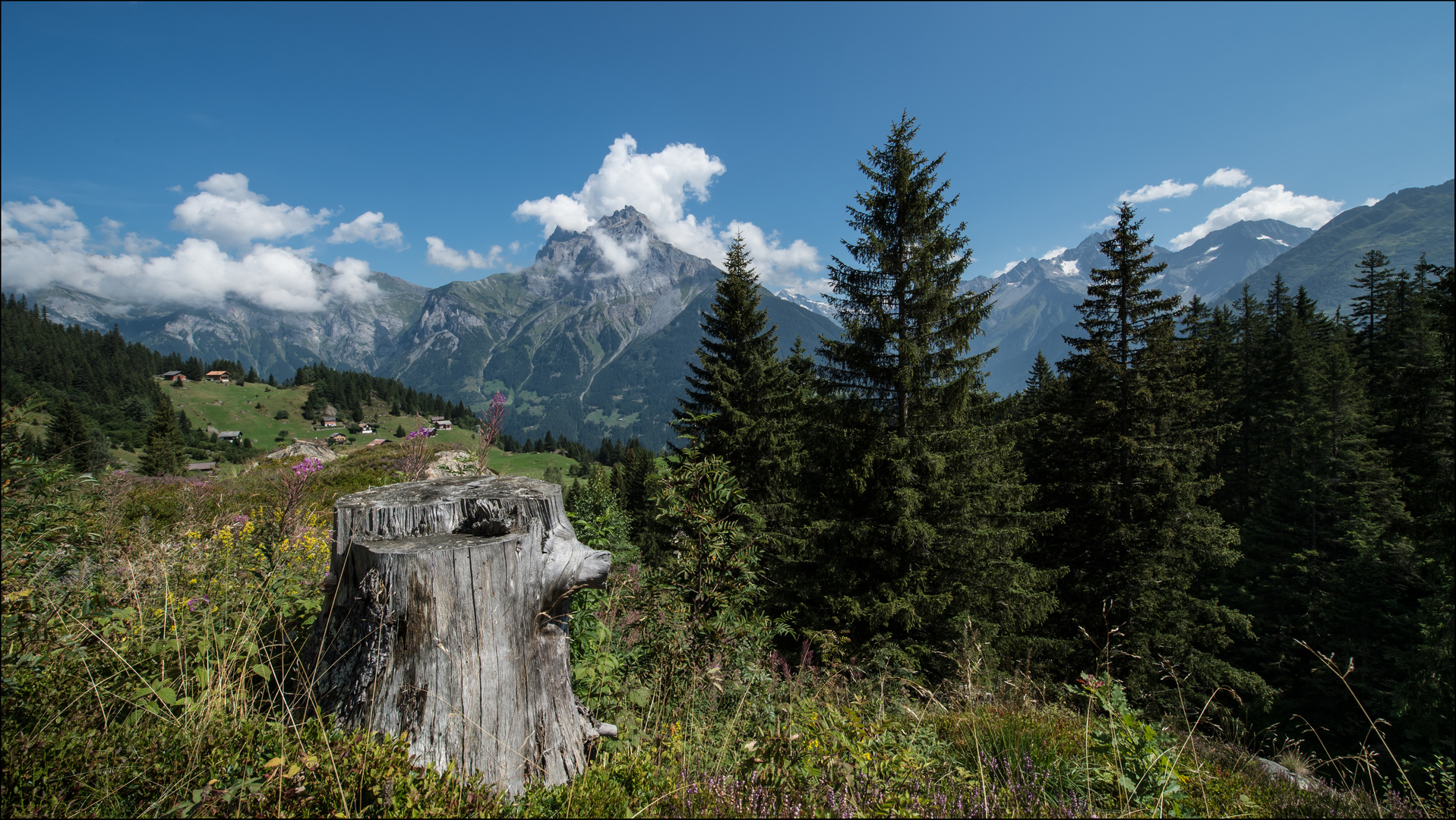 Alpenwelt