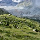 Alpenwiese in Zermatt