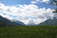 ALPENWIESE KARWENDELGEBIET