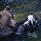 Alpenzoo Innsbruck