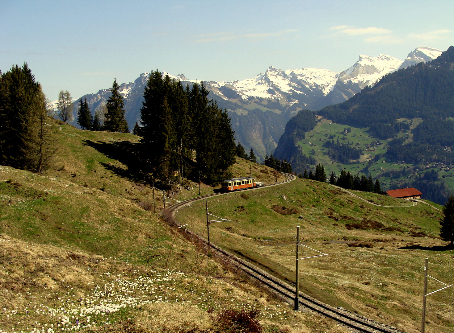 Alpes bernoises / Berner Alpen.02