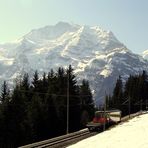 Alpes bernoises / Berner Alpen.03