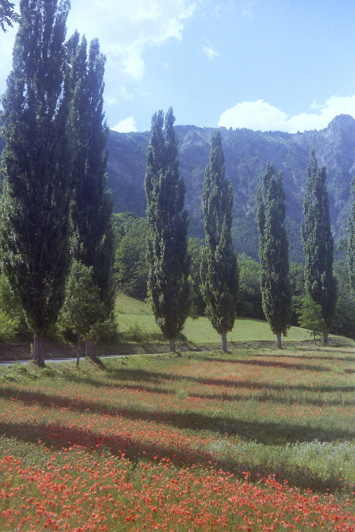 Alpes de Haute Provence / Seealpen