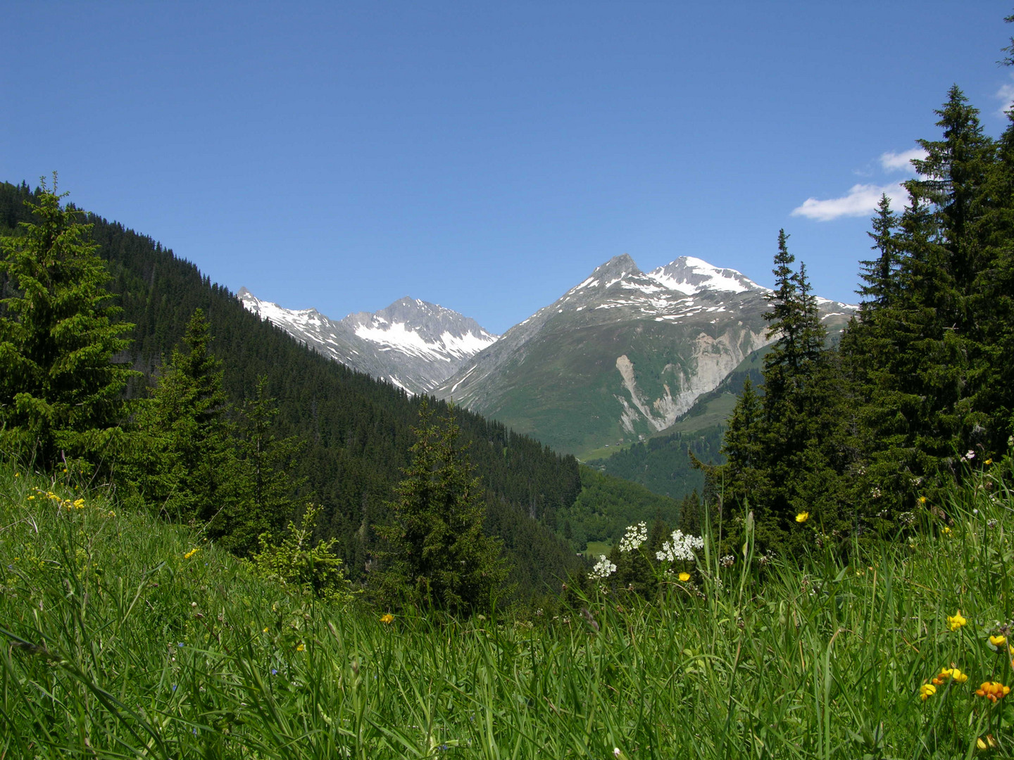 Alpes Suizos en verano