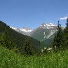 Alpes Suizos en verano