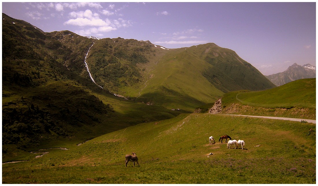 Alpes(France).