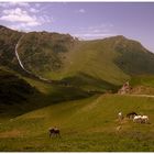 Alpes(France).