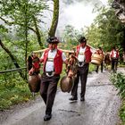 Alpfahrt von der Oberen Hundsladen