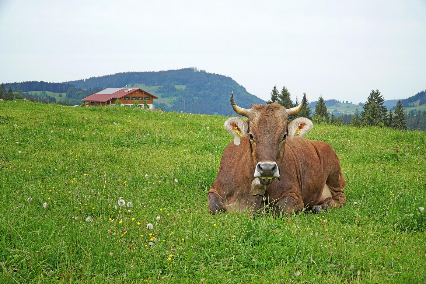 AlpGenuß