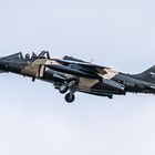 Alpha Jet C-GLTO