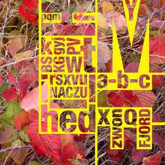 Alphabet im Herbst