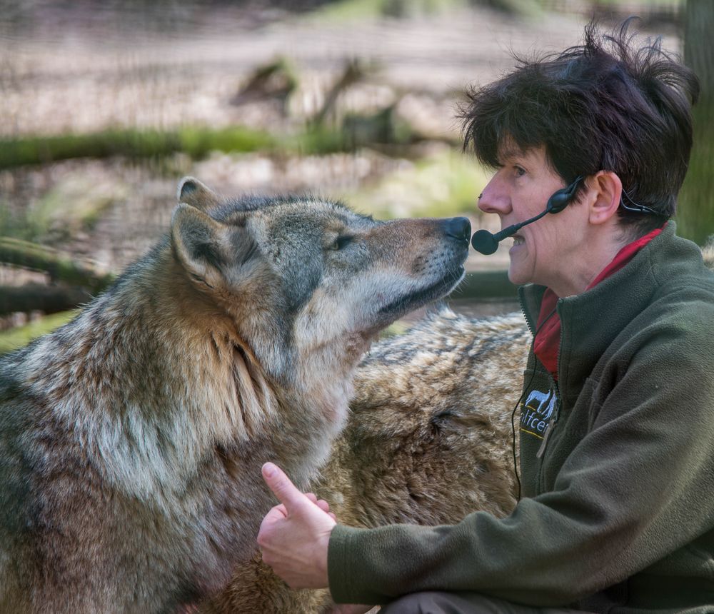 Froschaugen und Bokehkreise I Foto & Bild  nah- & makro, tiere, zoo,  wildpark & falknerei Bilder auf fotocommunity