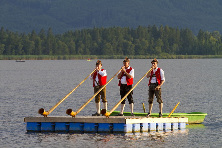 Alphorn - Bläser ...