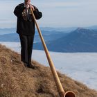 Alphorn-Bläser bei der Arbeit