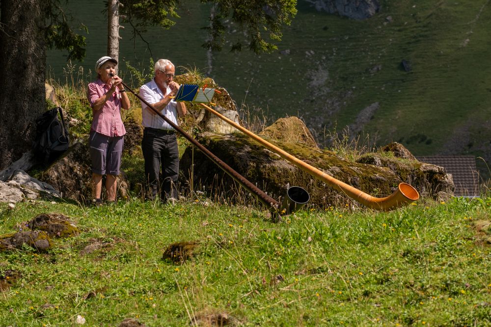 Alphorn im Duett