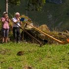 Alphorn im Duett