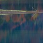 Alphornbläser beim Klöntalersee