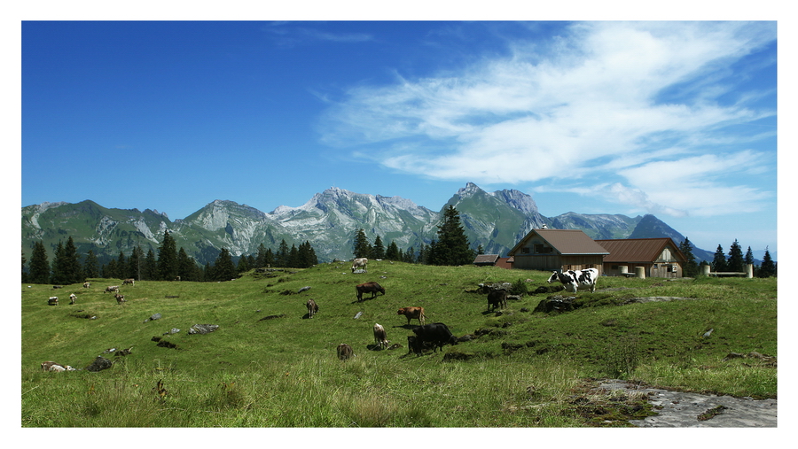 Alphütte im Toggenburg