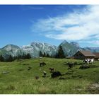 Alphütte im Toggenburg