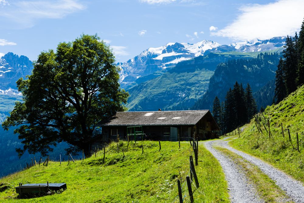 Alphütte und Blümlisalpgruppe