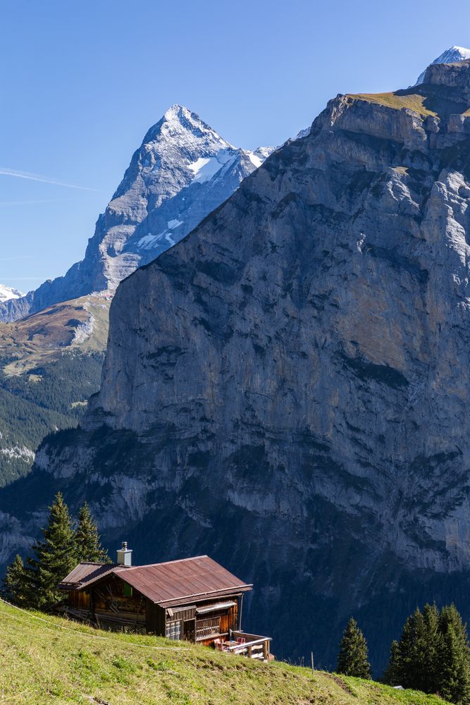 Alphütte und Eiger (3970 m.ü.M.)