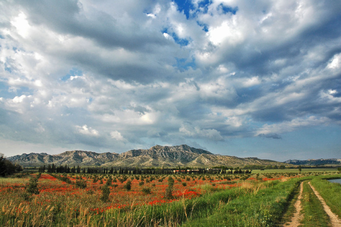 Alpilles