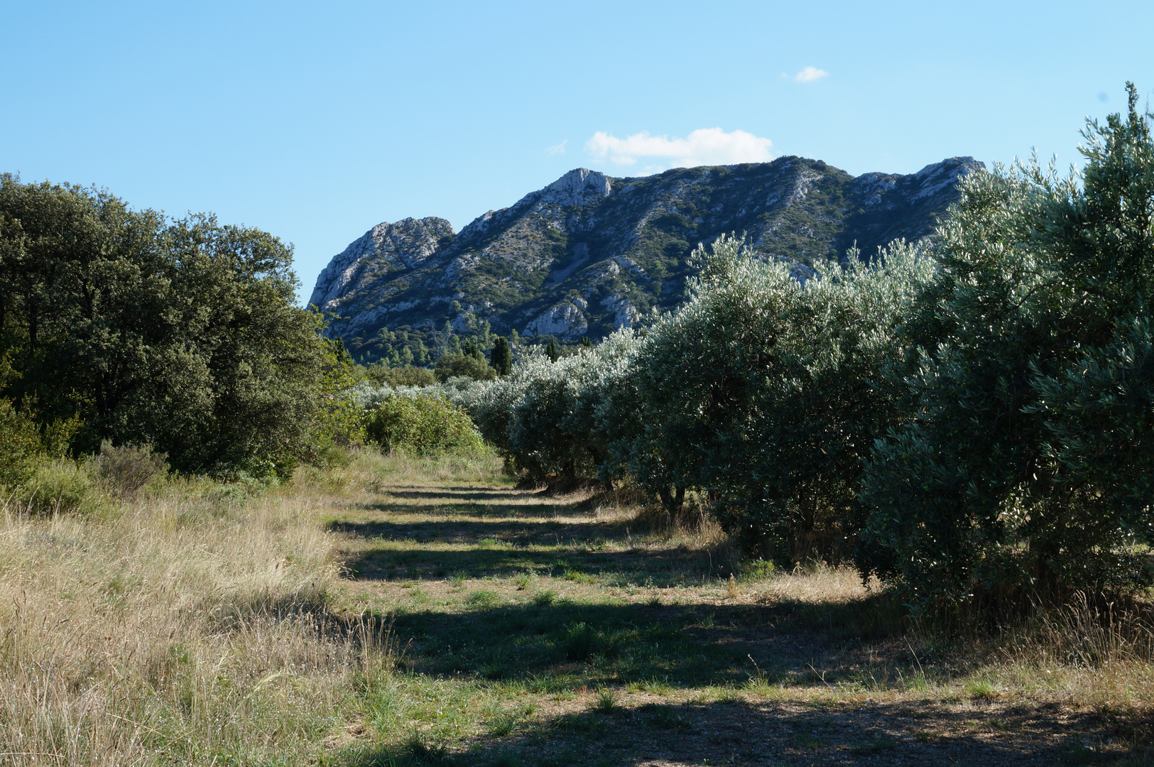 Alpilles bei ( à) St. Remy de Provence