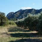 Alpilles bei ( à) St. Remy de Provence