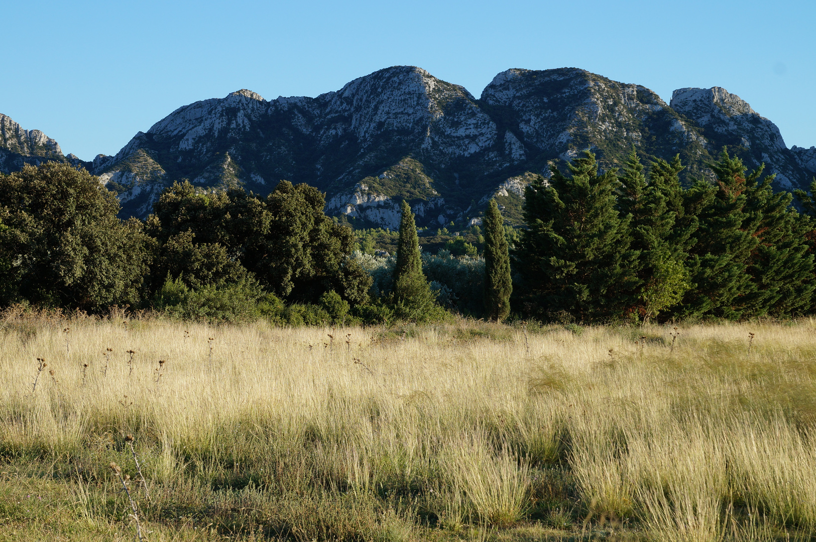 Alpilles