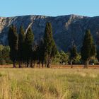 Alpilles panorama