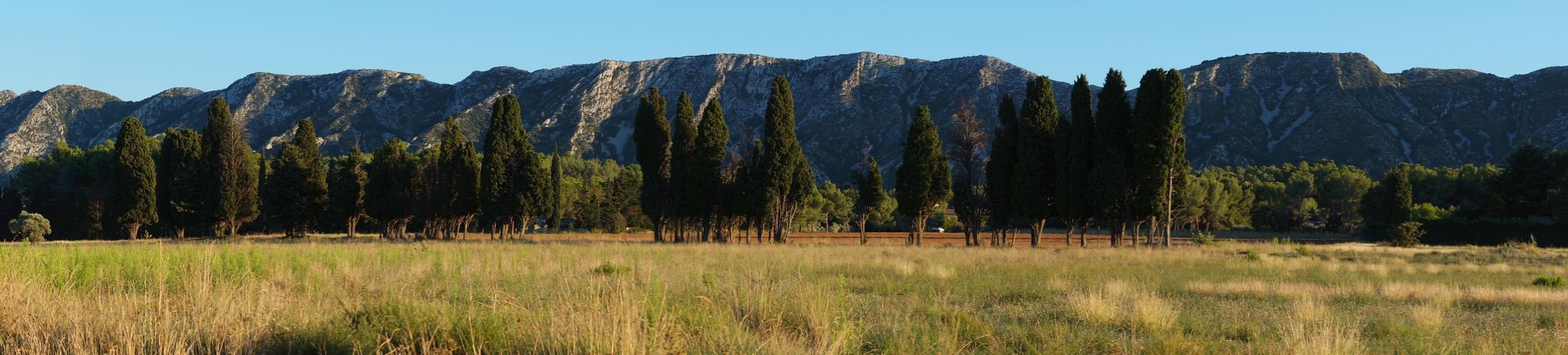 Alpilles panorama