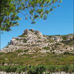 Alpilles - Provence 07