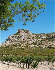 Alpilles - Provence 07