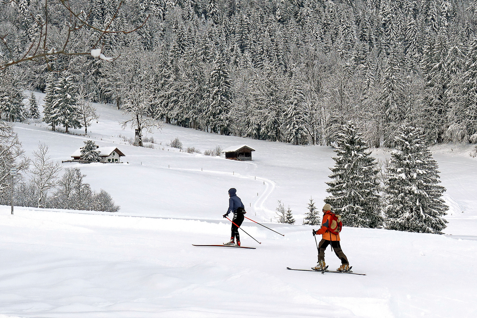 Alpin und Nordisch aufwärts unterwegs