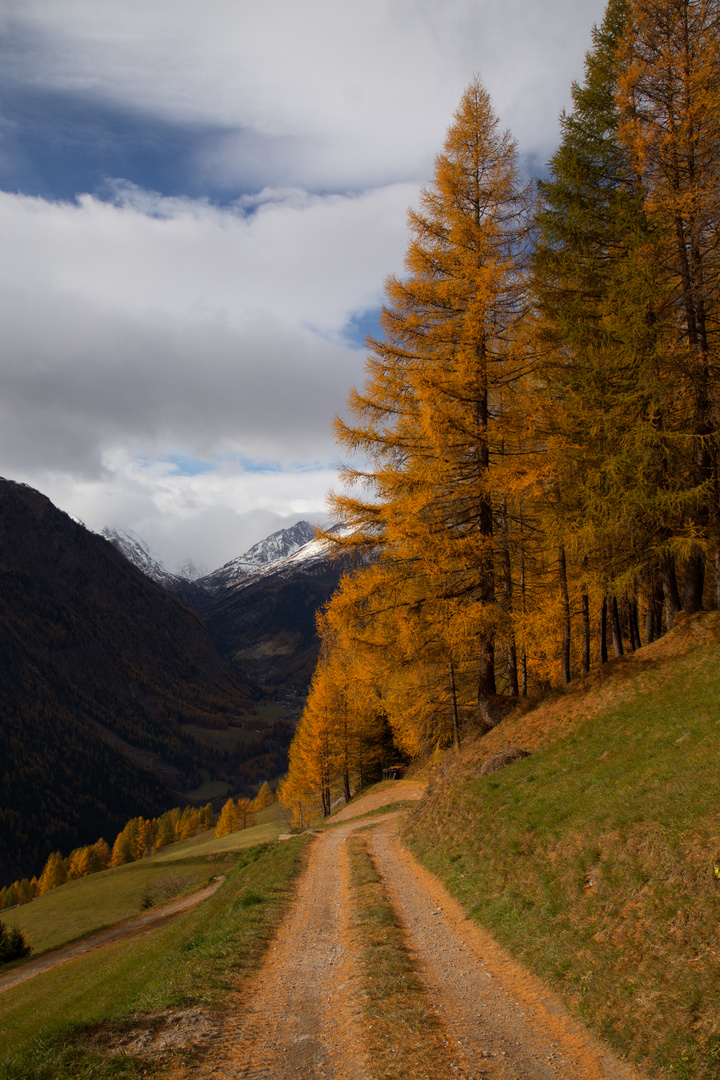 Alpine Autumn