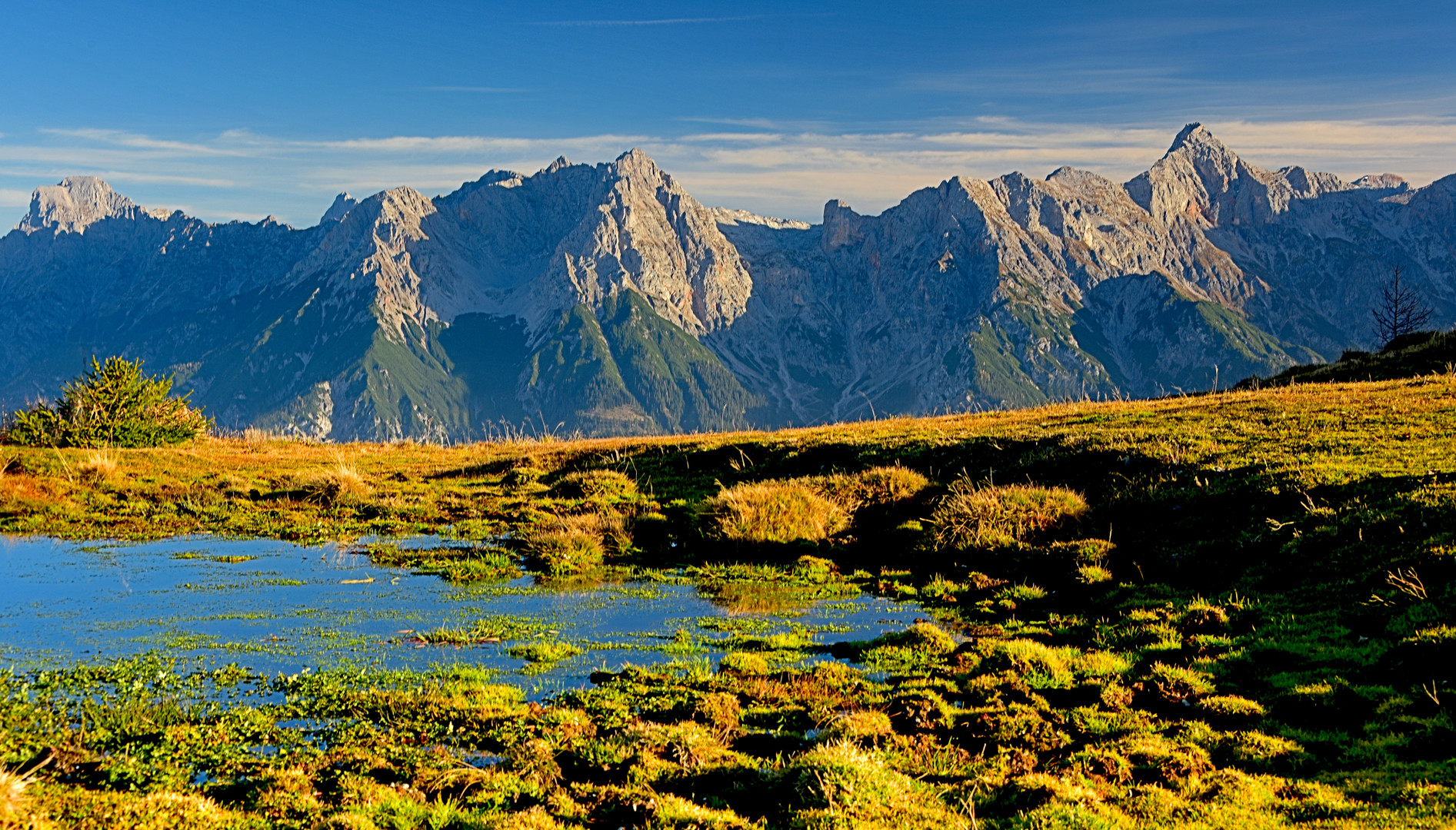 alpine Bühne