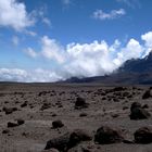 "Alpine desert" am Weg zum Kili