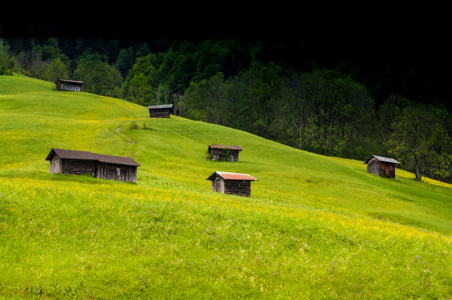 Alpine huts