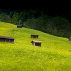 Alpine huts