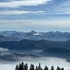 Alpine Inversion