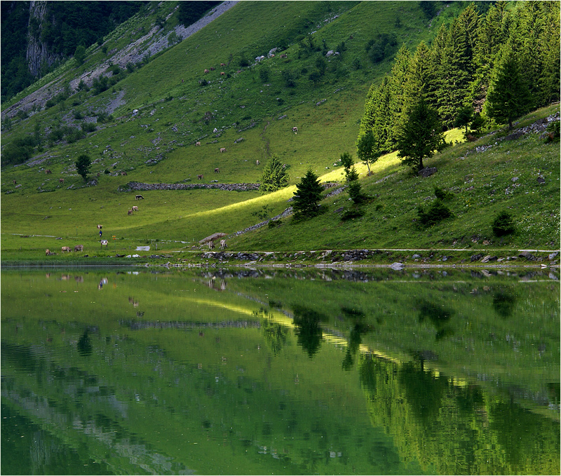 Alpine Konvergenz