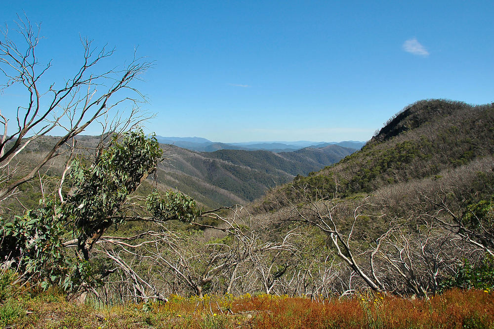 "Alpine National Park"